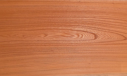 樹種：ケヤキ（欅） | 無垢一枚板テーブル