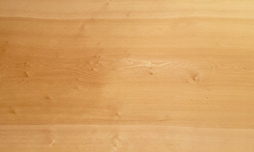 樹種：イチョウ（銀杏） | 無垢一枚板テーブル