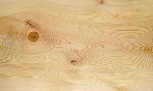 樹種：モミ | 無垢一枚板テーブル