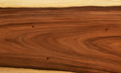 樹種：モンキーポッド | 無垢一枚板テーブル